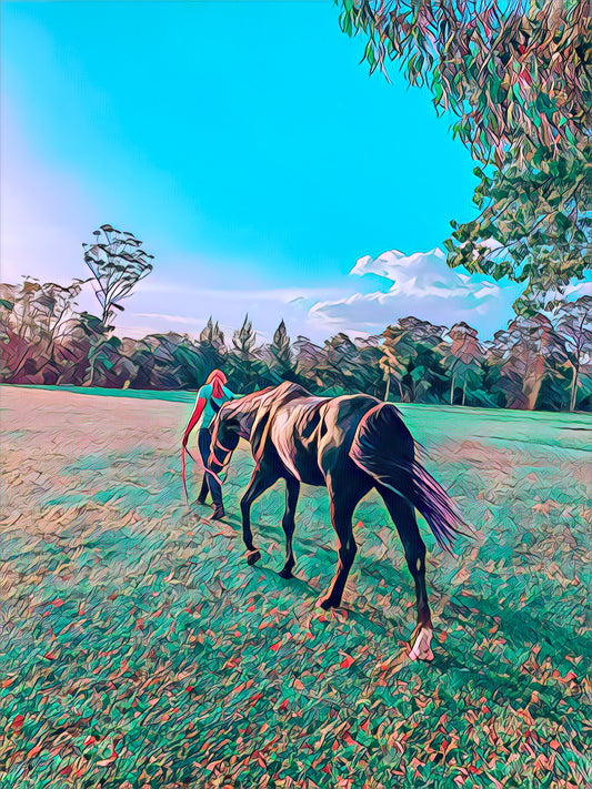 Injuries in horses - My Experience - Wild Rider