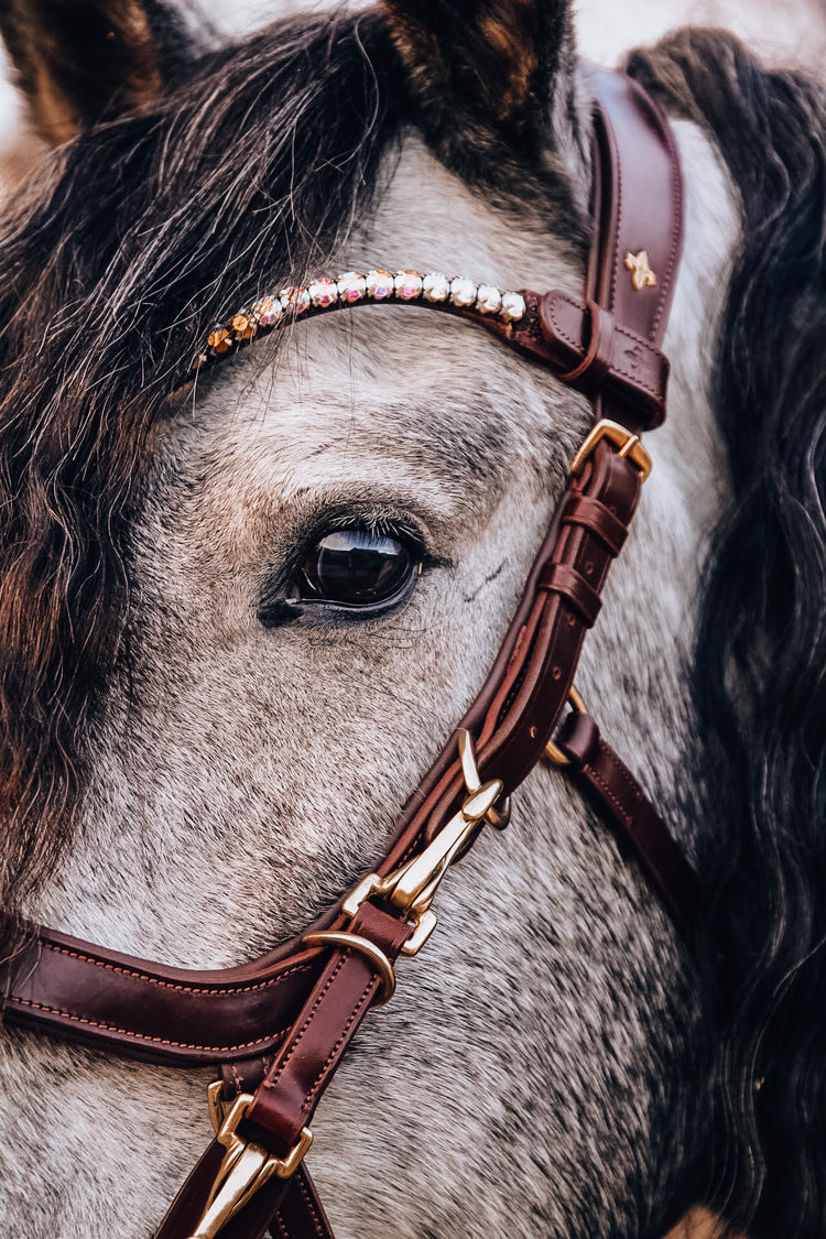 Masego Bridles