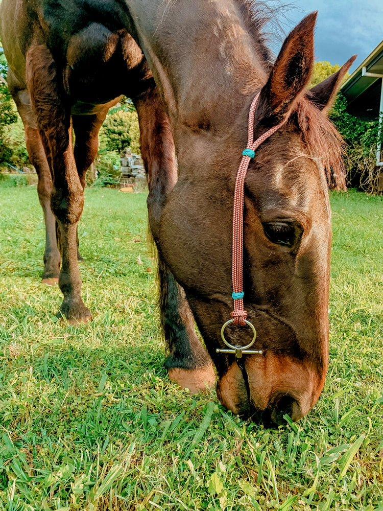 Rope Headstalls