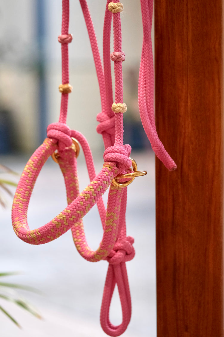 Bitless Halters