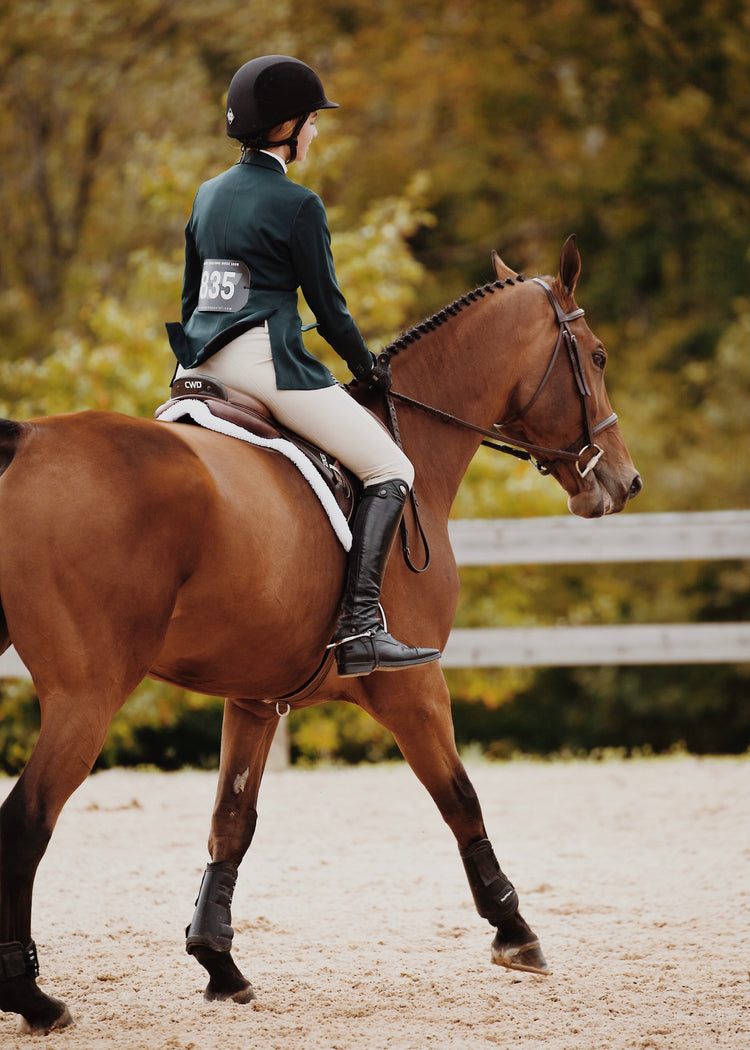 Competition - Wild Rider