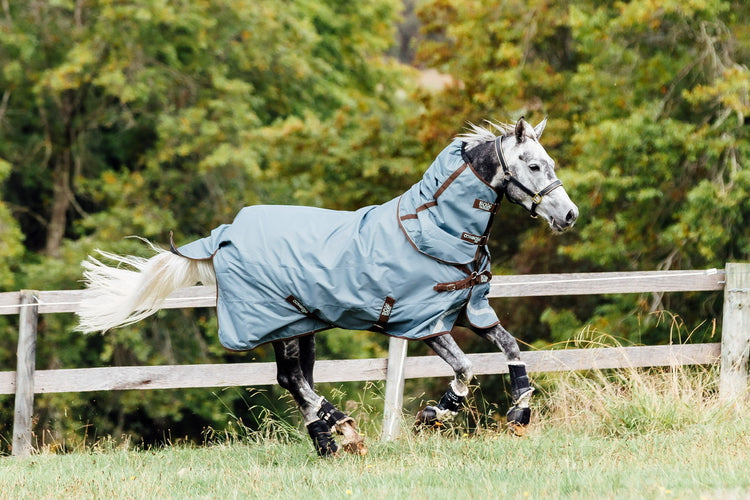 Rugs & Paddock Wear
