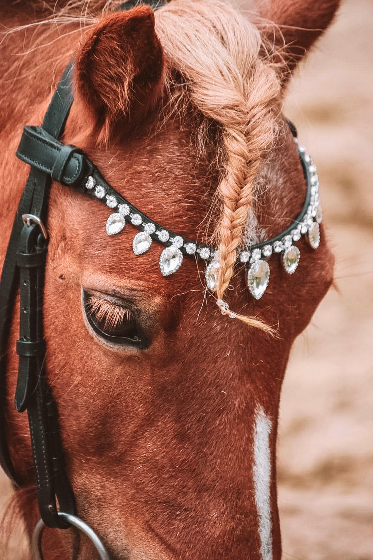 Browbands