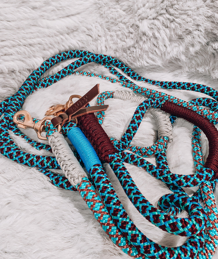 Shop All Dog Leads