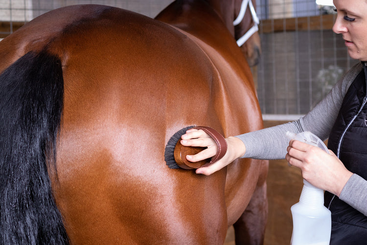 Grooming & Brushes