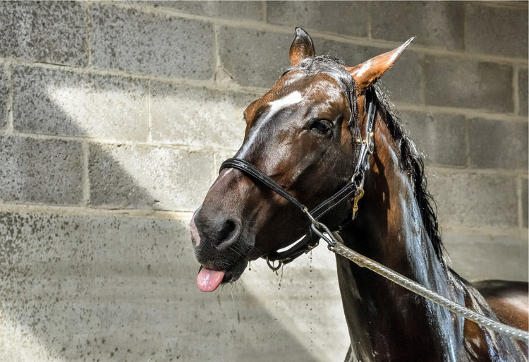 Washing