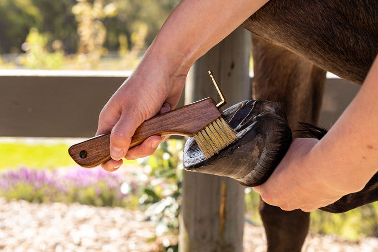 Health & Hoofcare