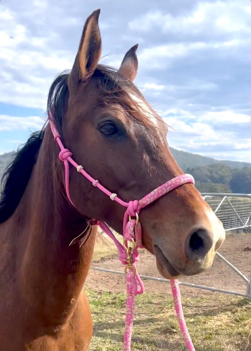 Justin HALO Bitless Riding Rope Halter - with overlay