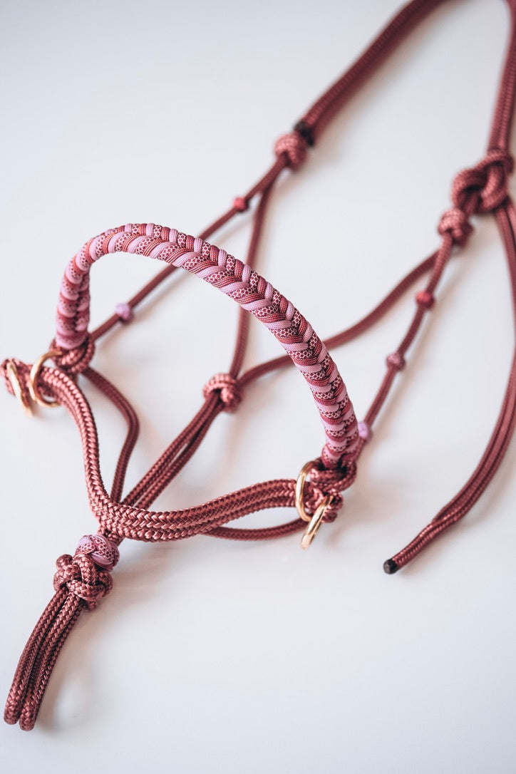 Paracord Bitless Riding Halter - Mean Girls