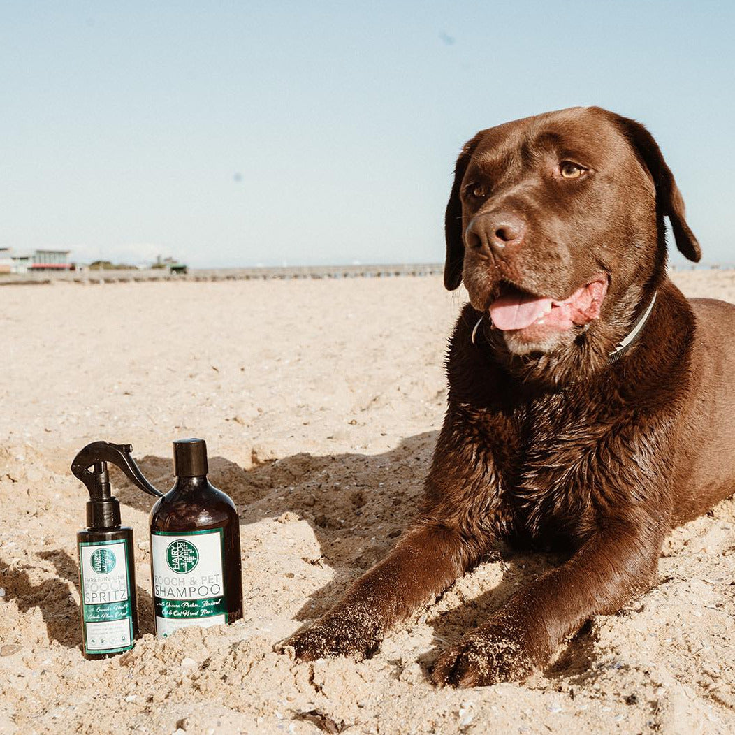 3 in 1 Pooch Spritz