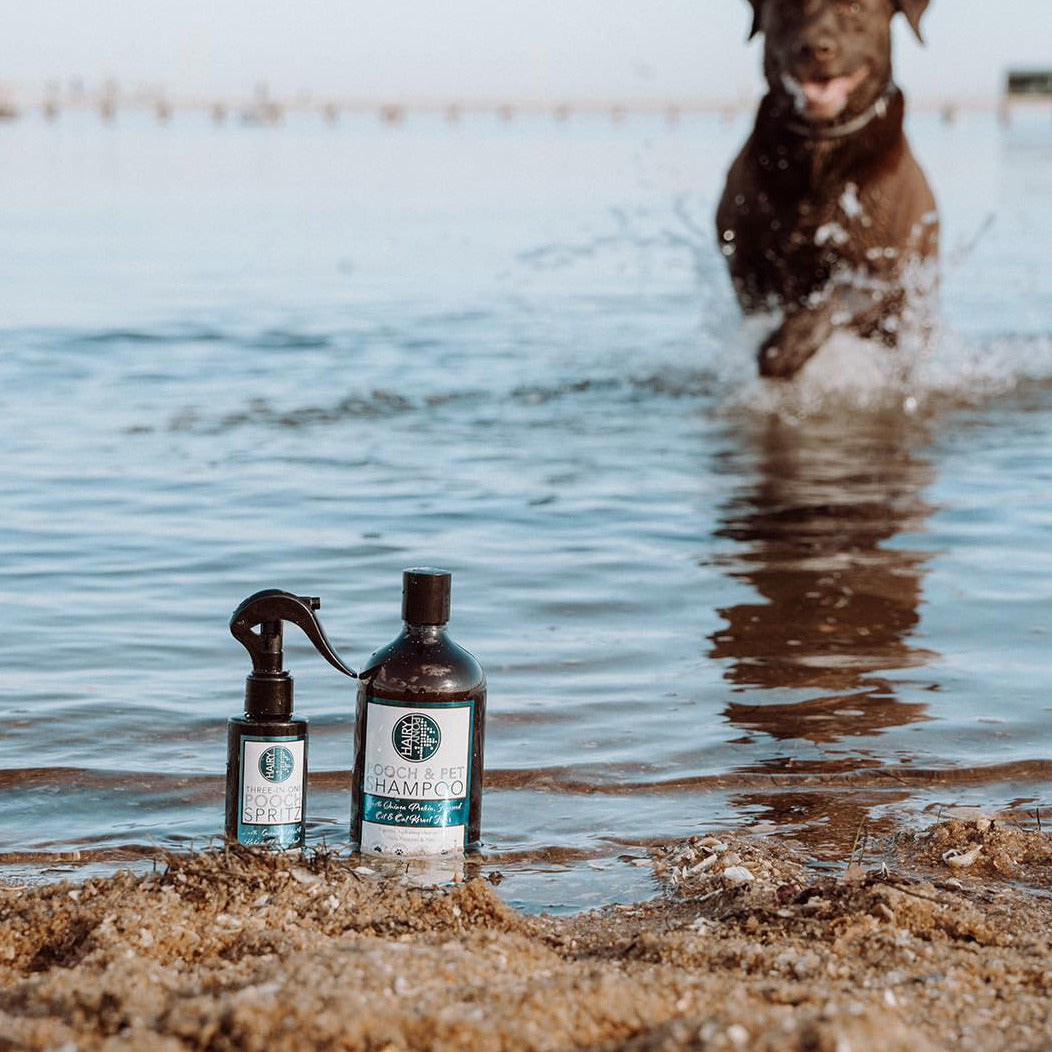 Pooch and Pet Dog Shampoo