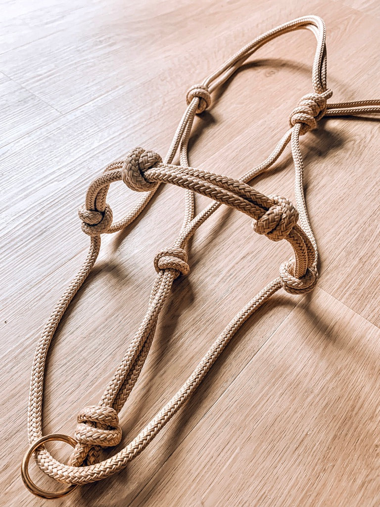 4 Knot Halo Halter