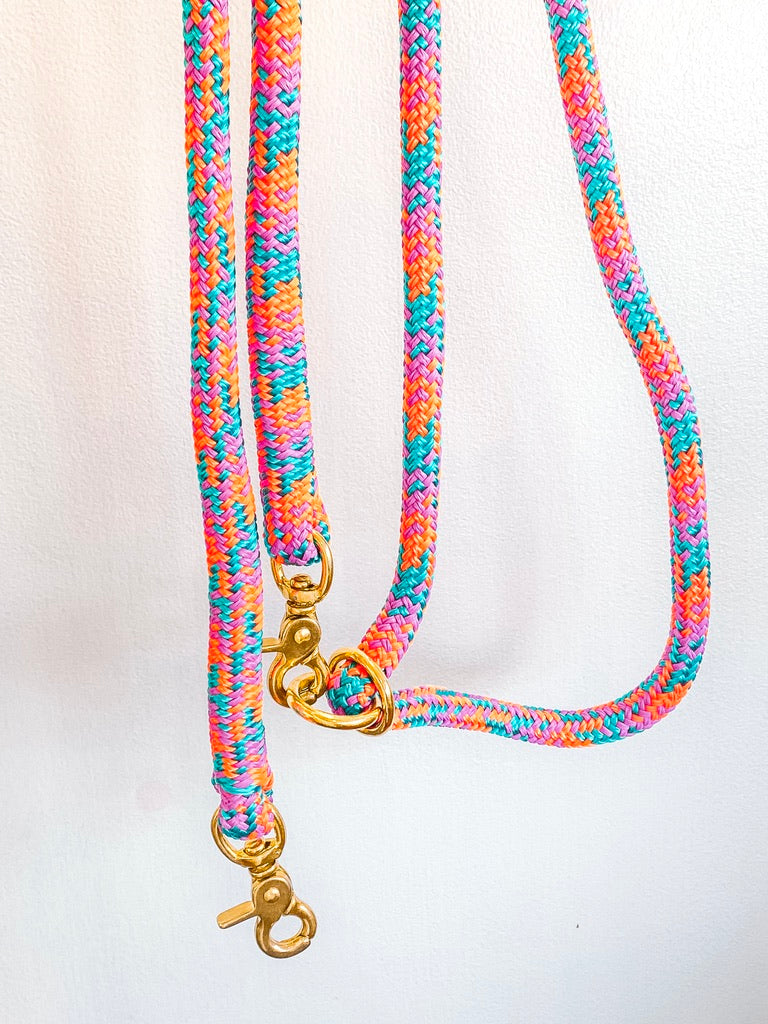 Dog Leash - ROAD RUNNER - Heavyweight