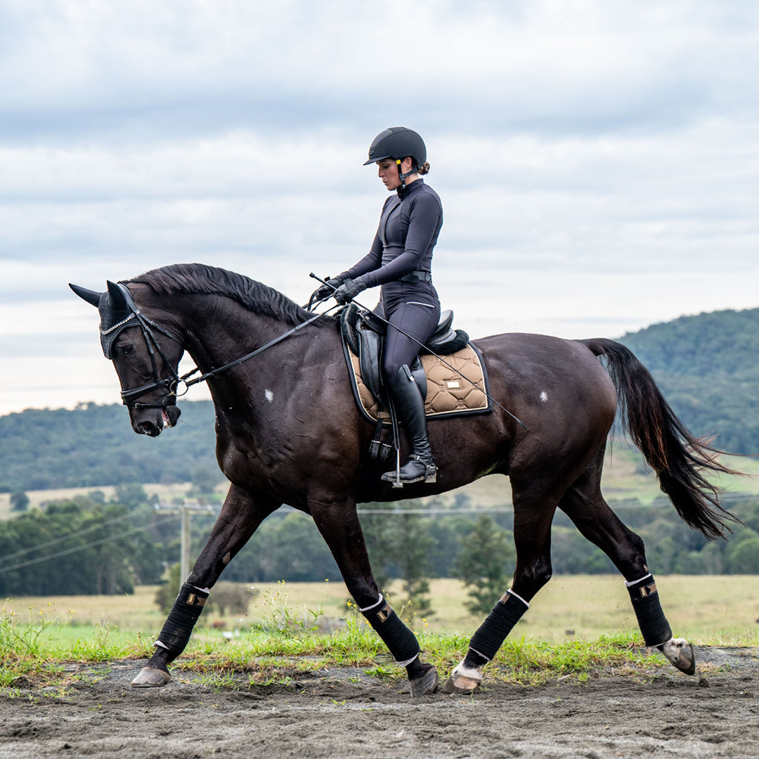 Sculpt Performance Hybrid Breeches: Black Obsidian