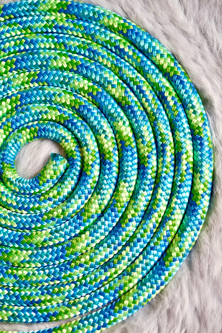 Split Reins - Clip ons - "IGUANA"