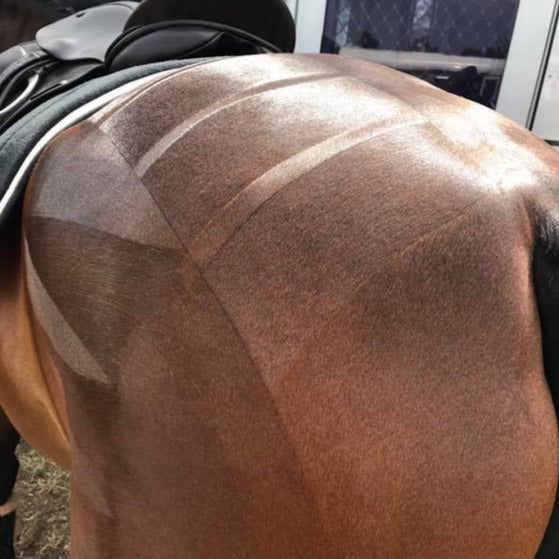 Quarter Mark Horse Brush