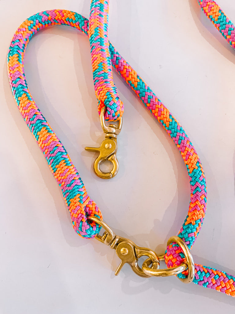 Dog Leash - ROAD RUNNER - Heavyweight