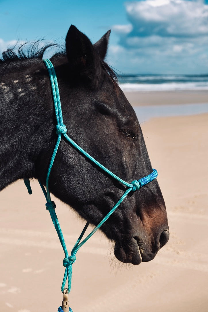 Overlay Halter - "LAGOON X OASIS"