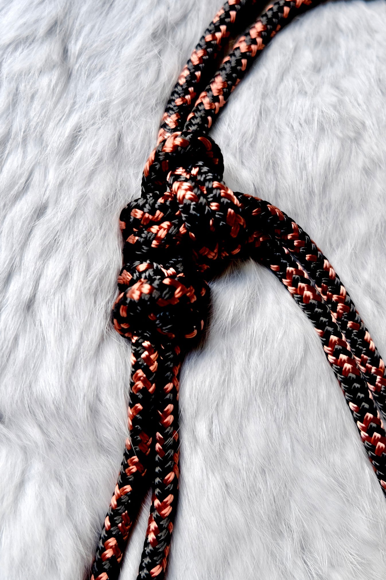 Halo Halter