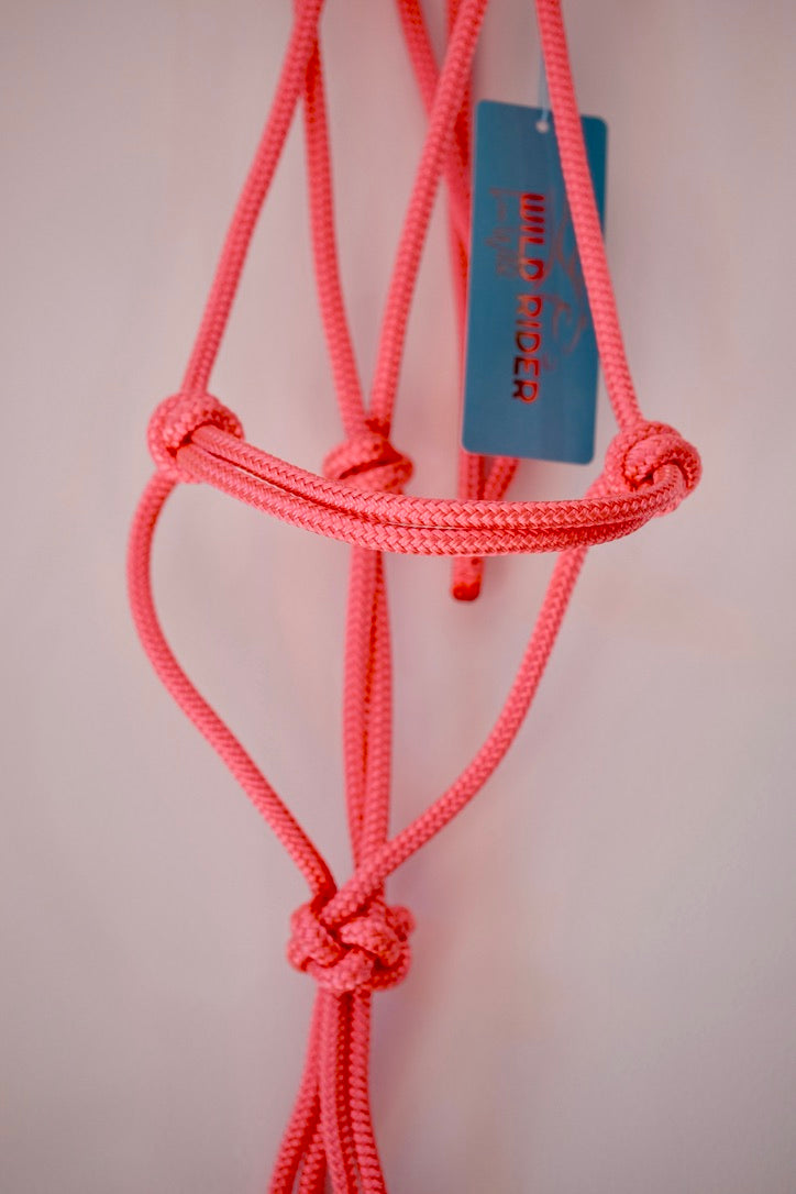 Standard Rope Halter