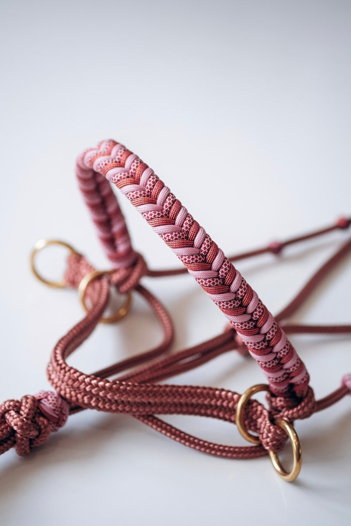 Paracord Bitless Riding Halter - Mean Girls