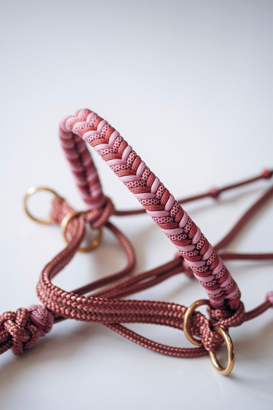 Paracord Bitless Riding Halter - Mean Girls