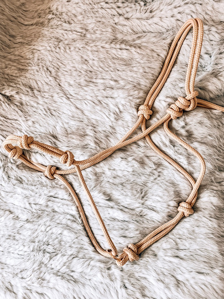 4 Knot Halo Halter