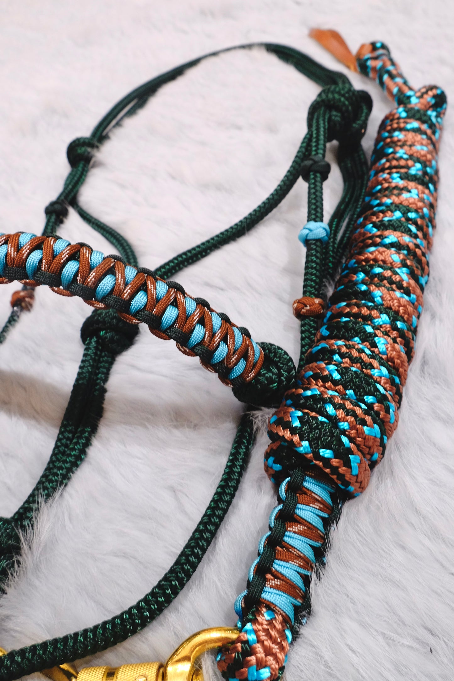 KOOKABURRA Halo Halter and Lead Set