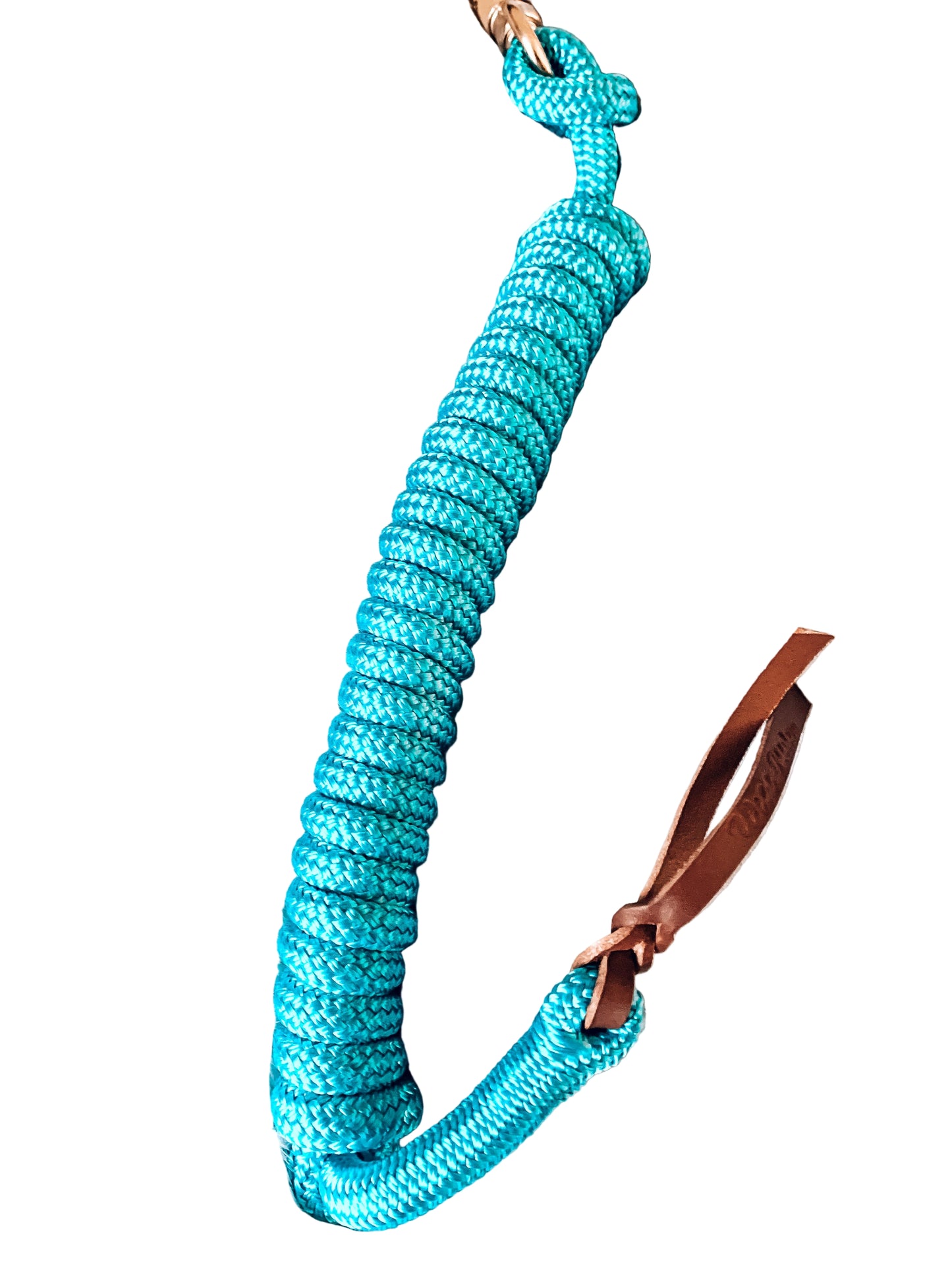 Artisan Lead Rope™️