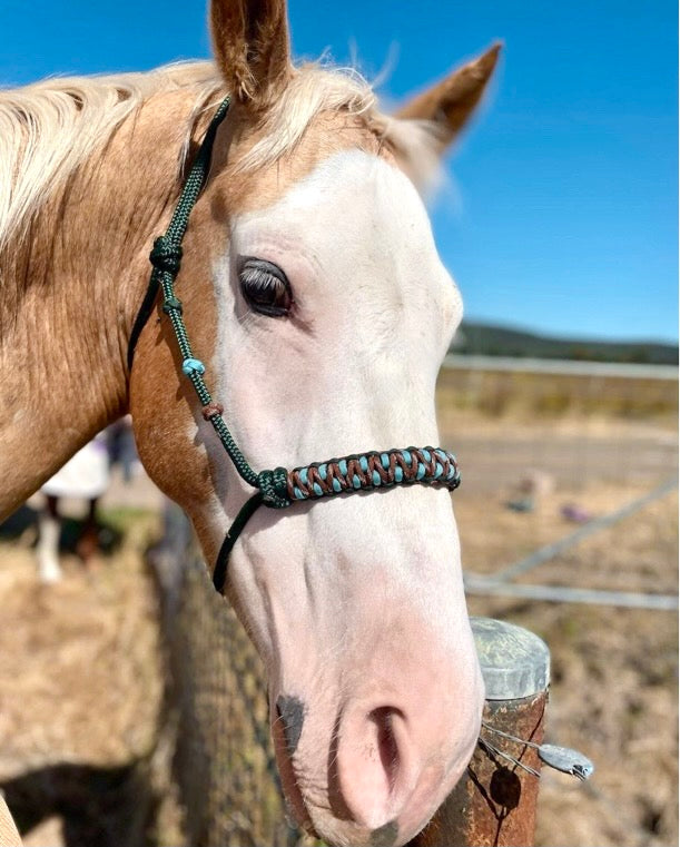 KOOKABURRA Halo Halter and Lead Set