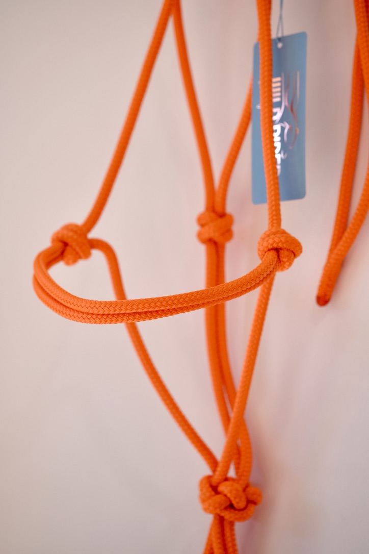 Standard Rope Halter