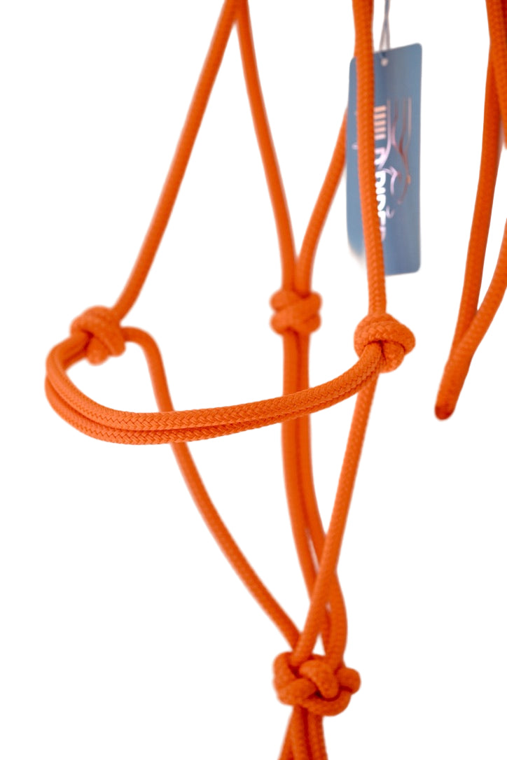 Standard Rope Halter