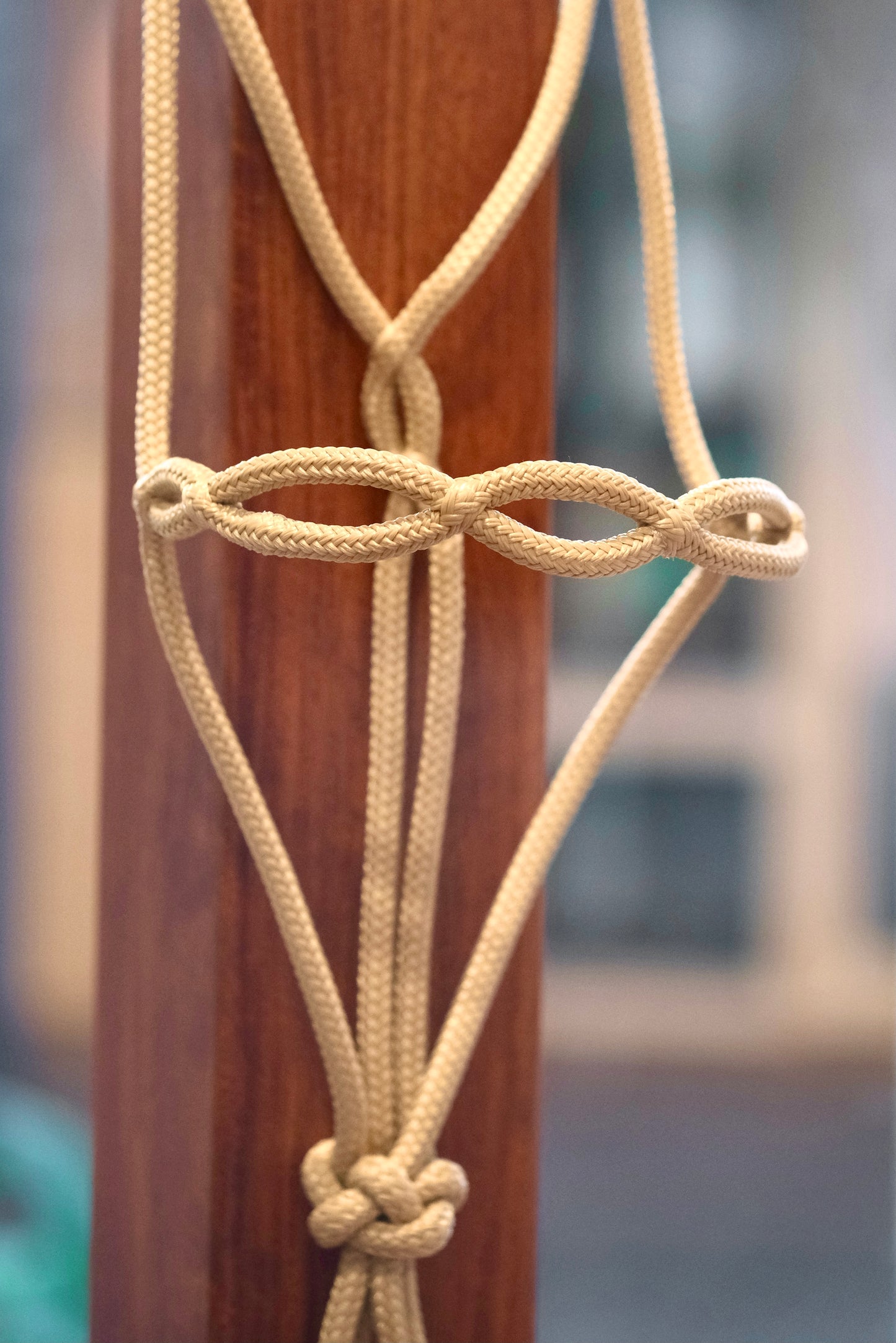 Thrive Knotless Halter