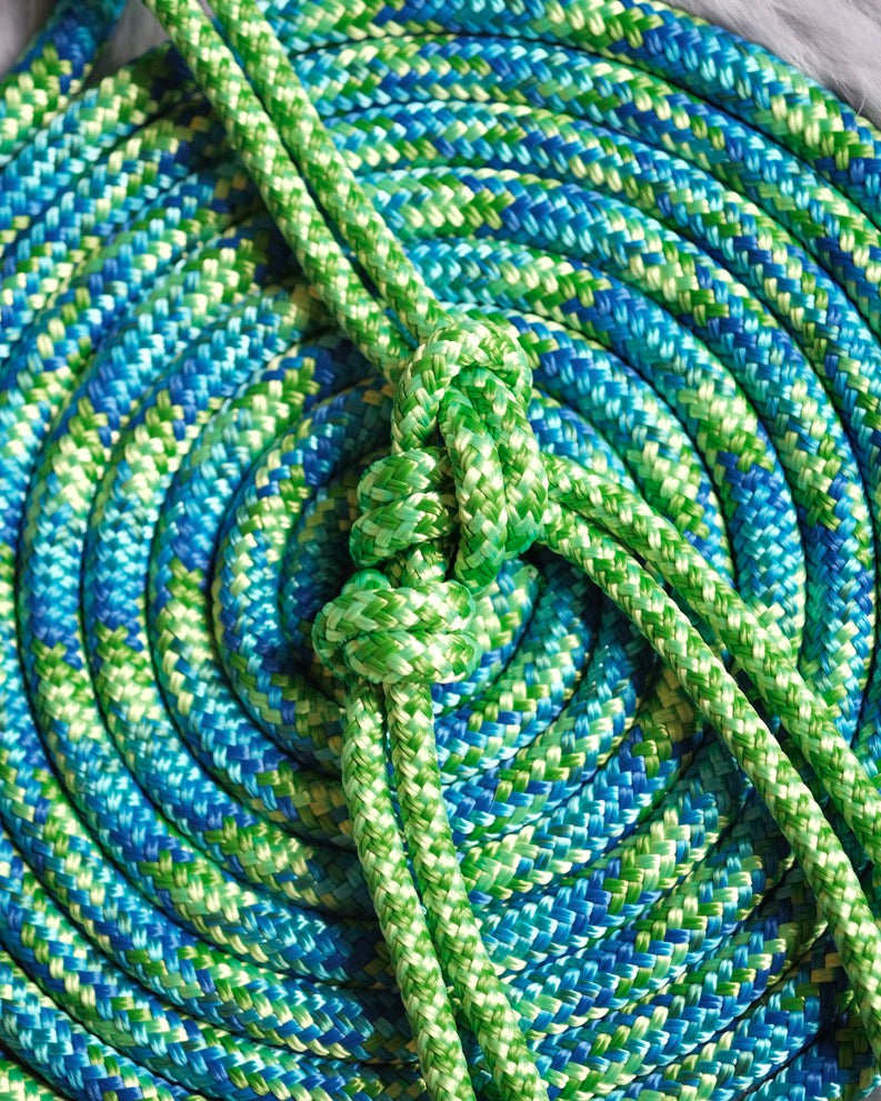 Halo Overlay Halter - "GECKO X IGUANA"