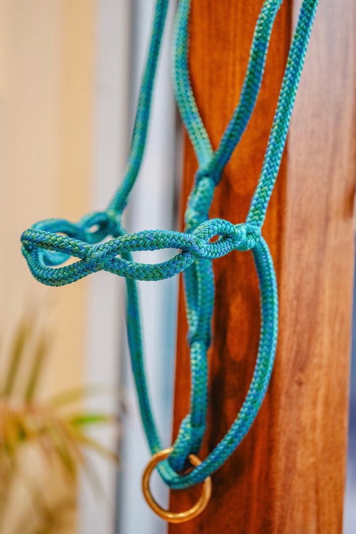 Halo Knotless Halter "BARK"/in stock