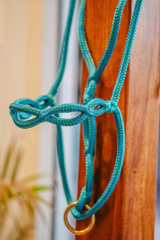 Halo Knotless Halter "BARK"/in stock