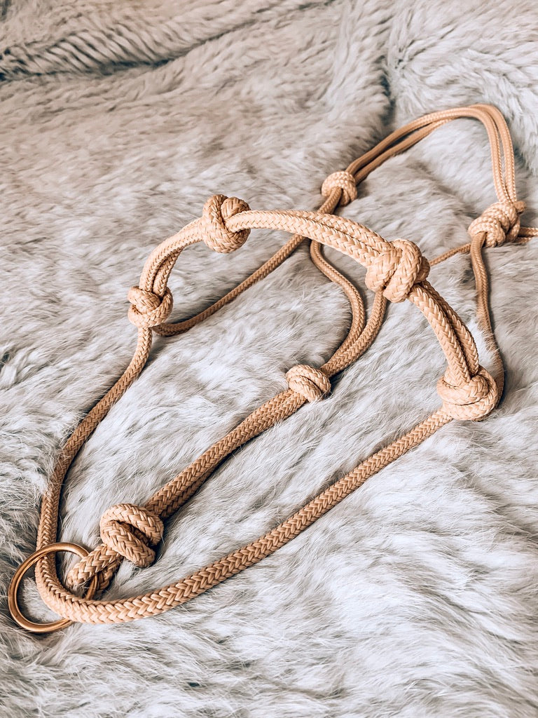 4 Knot Halo Halter