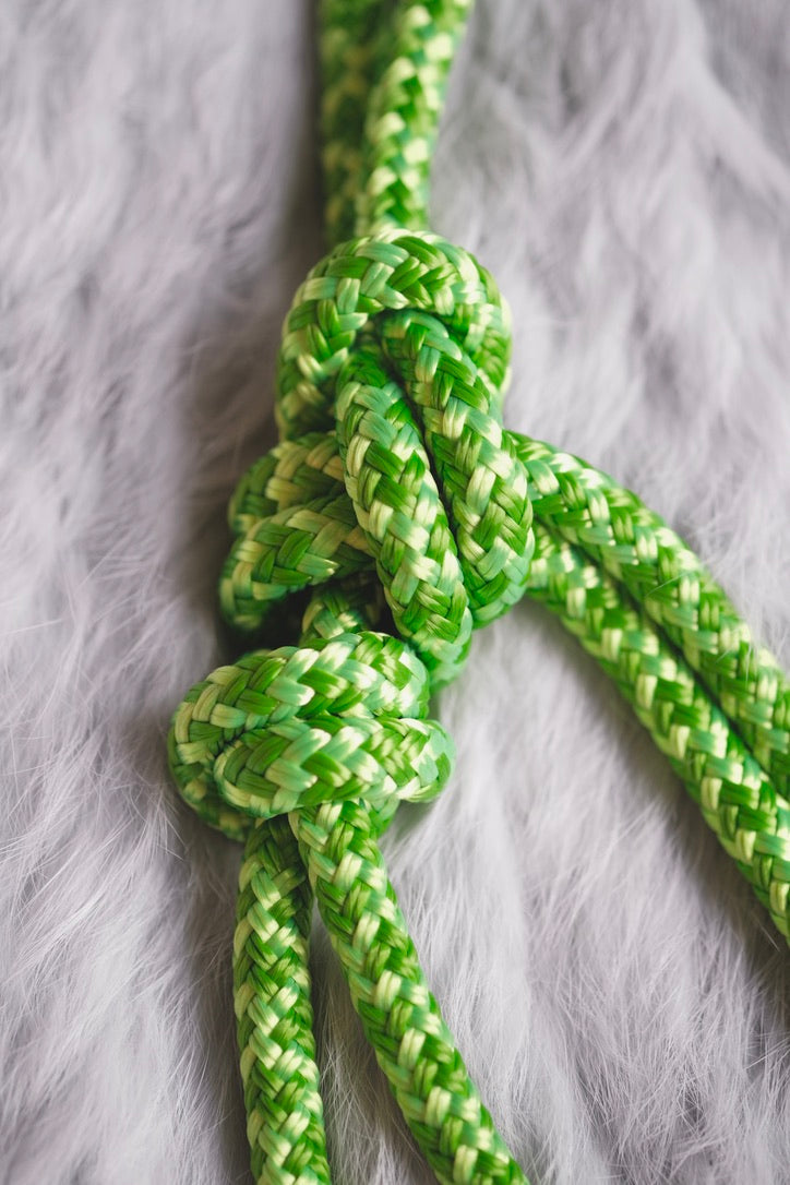 Standard Rope Halter - "GECKO"