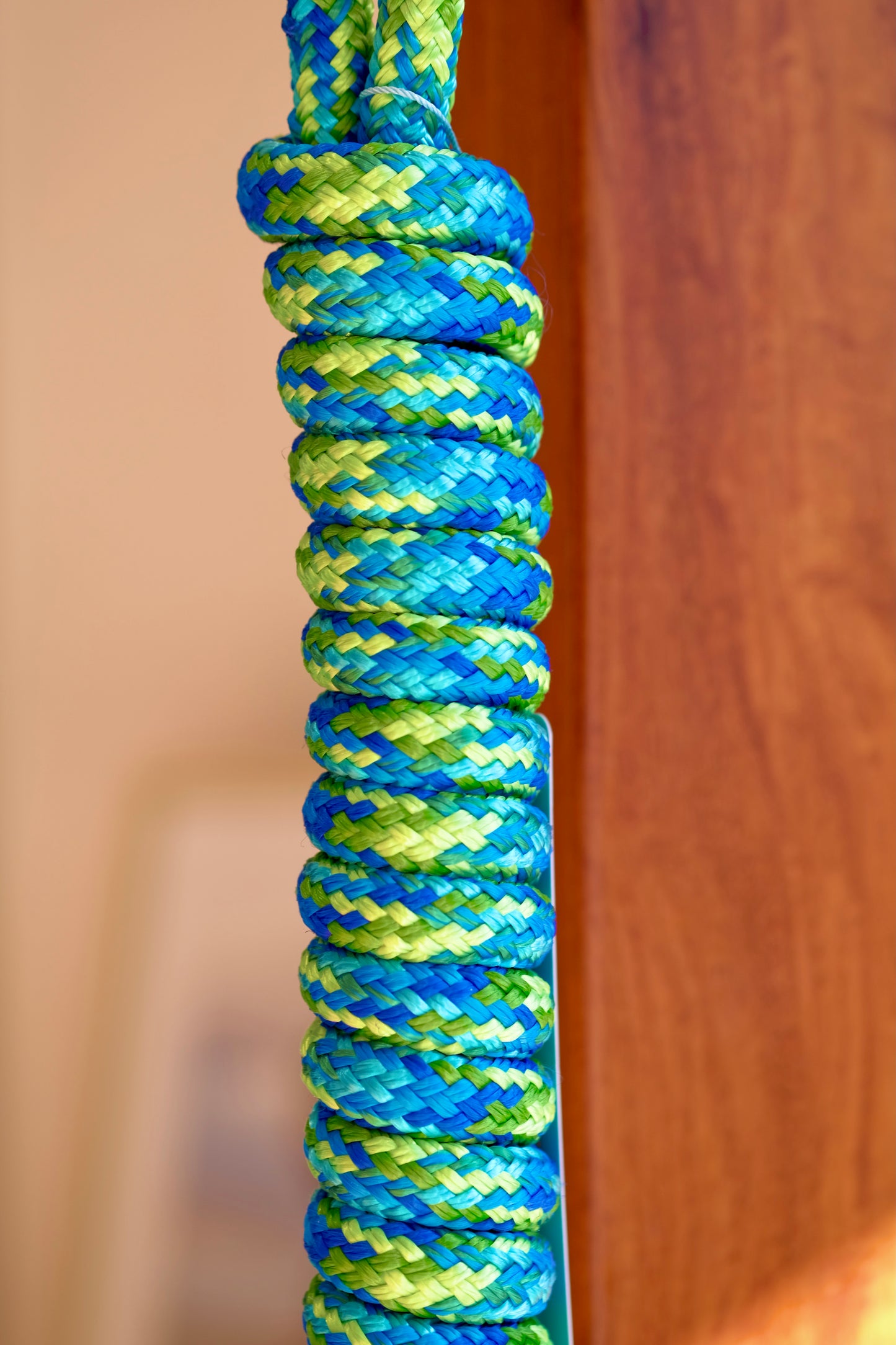 Artisan Lead Rope™️