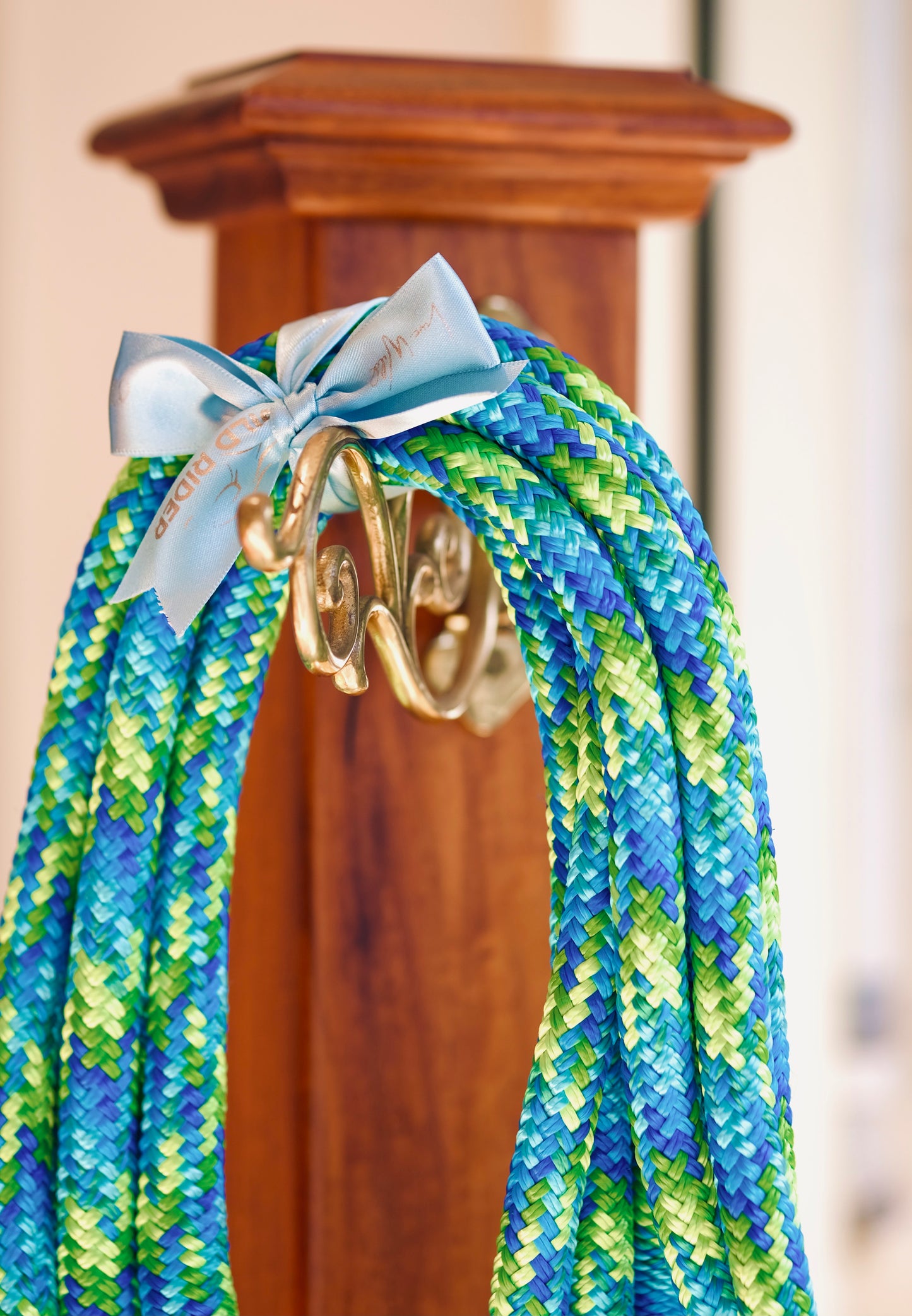 Clip-On Loop Reins