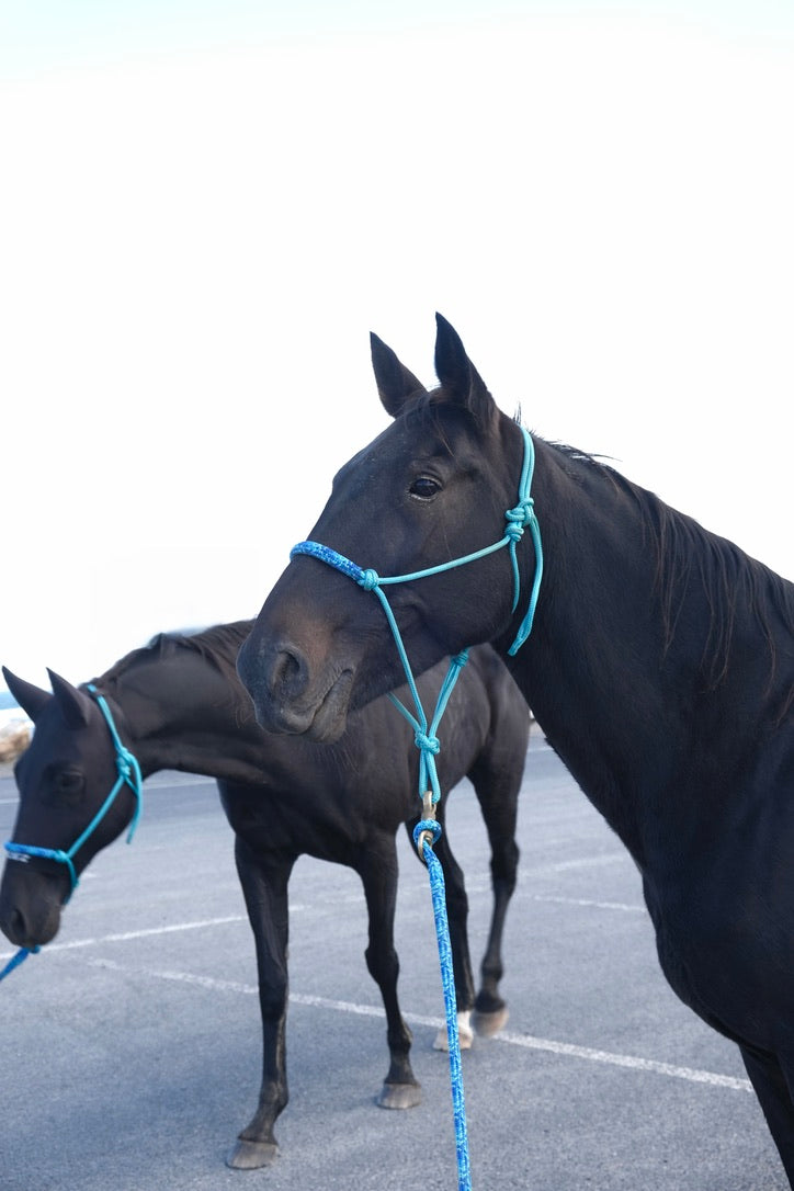Halo Overlay Halter - "LAGOON X OASIS"