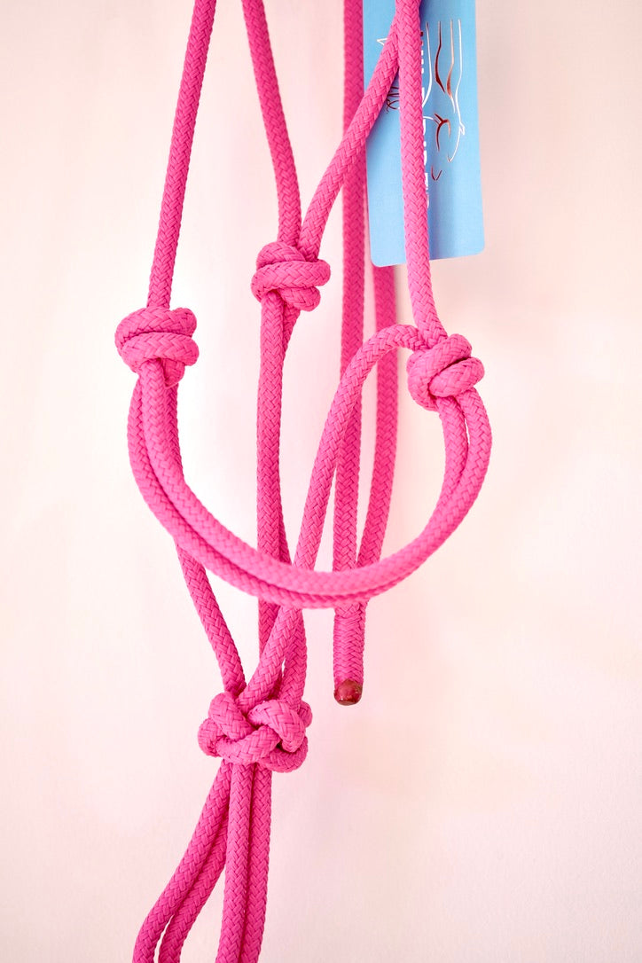 Standard Rope Halter