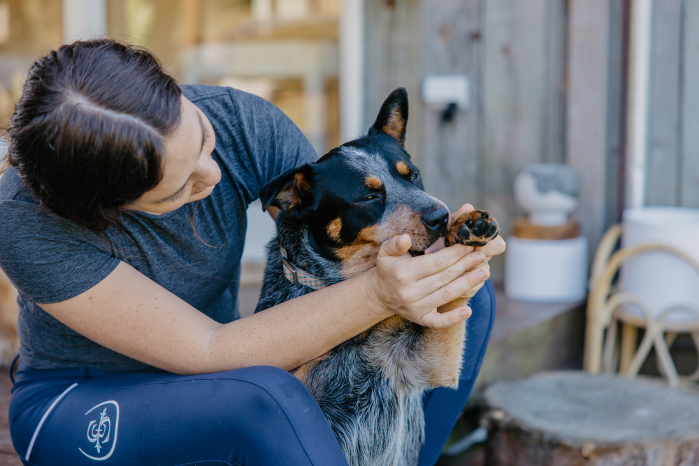 Bee Pawsome - Pet Paw Balm