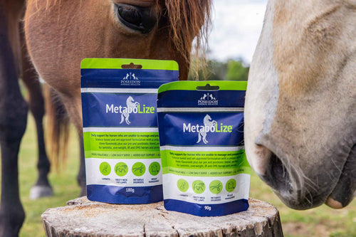 MetaboLize®️