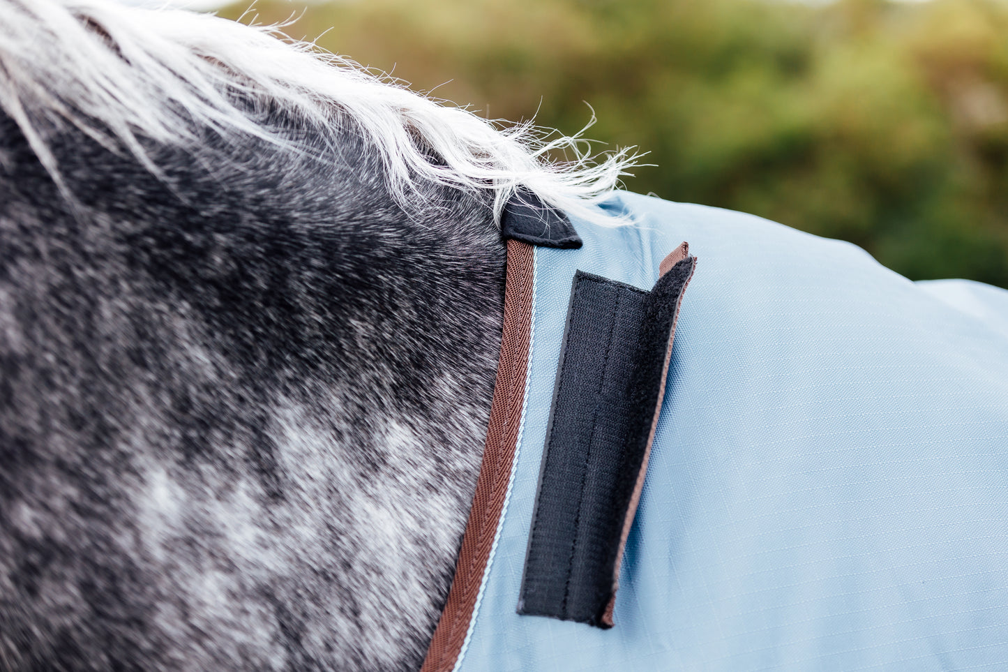 Combo Horse Rug - 250g - NAVY