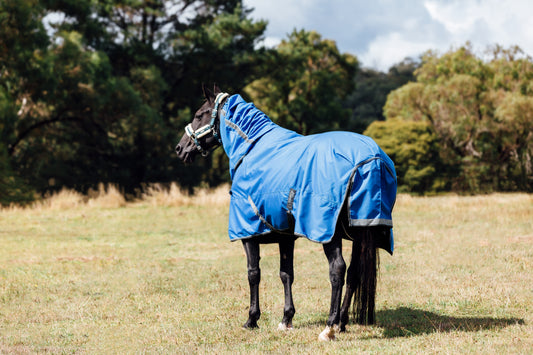 Combo Horse Rug - 100g - ROYAL BLUE
