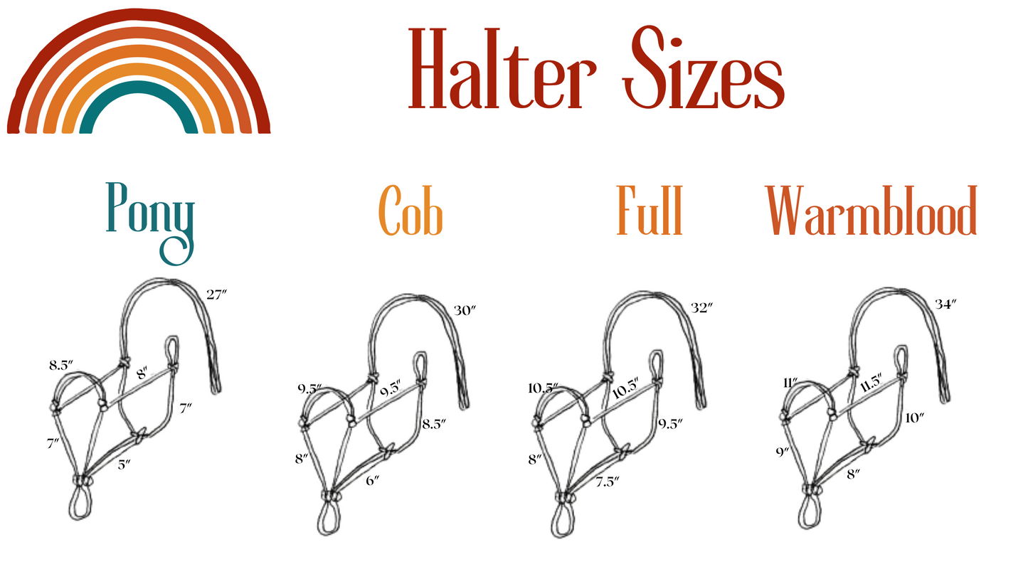 4 Knot Rope Halter - "KINGFISHER" freeshipping - Wild Rider