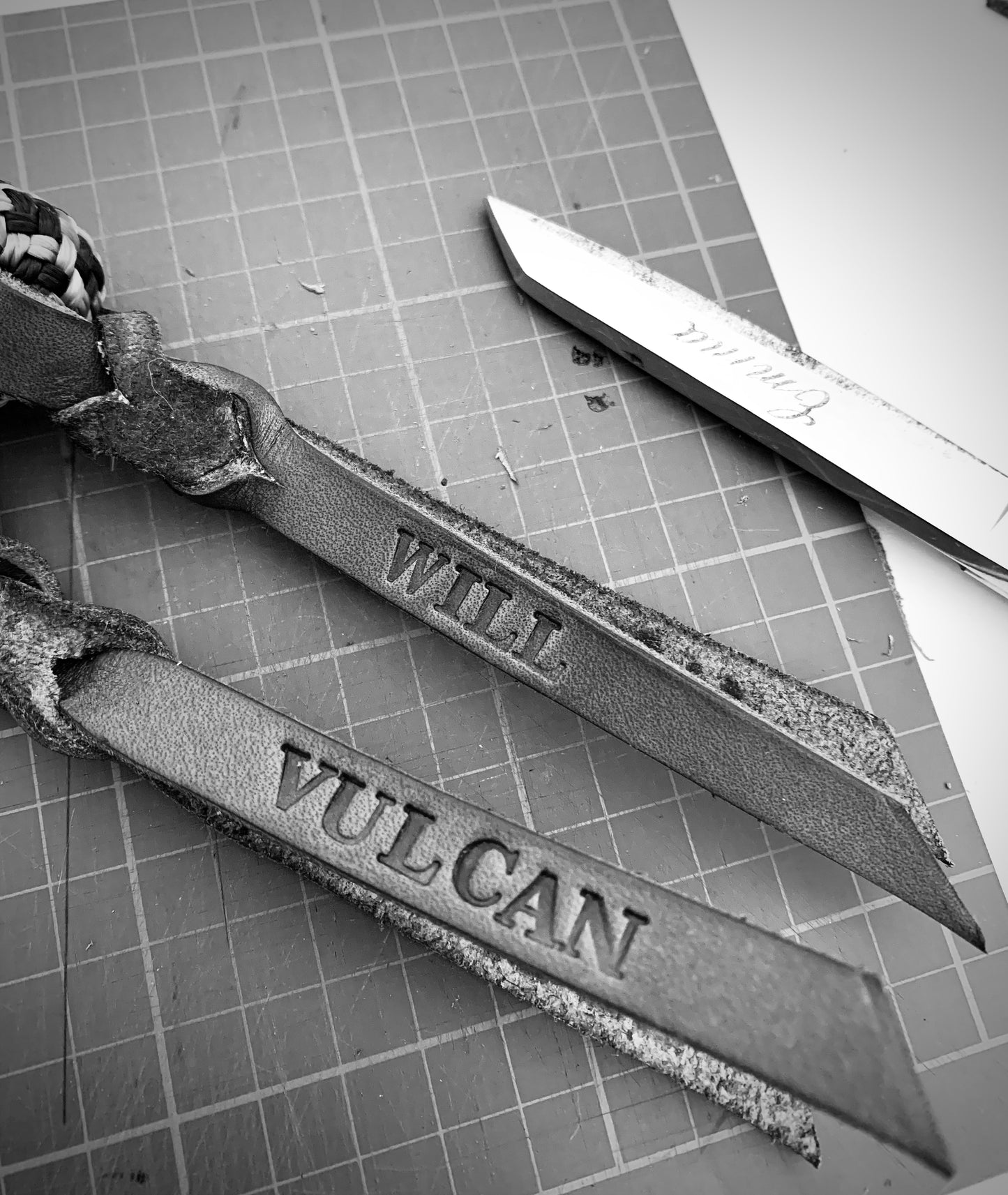 Artisan Lead Rope™️