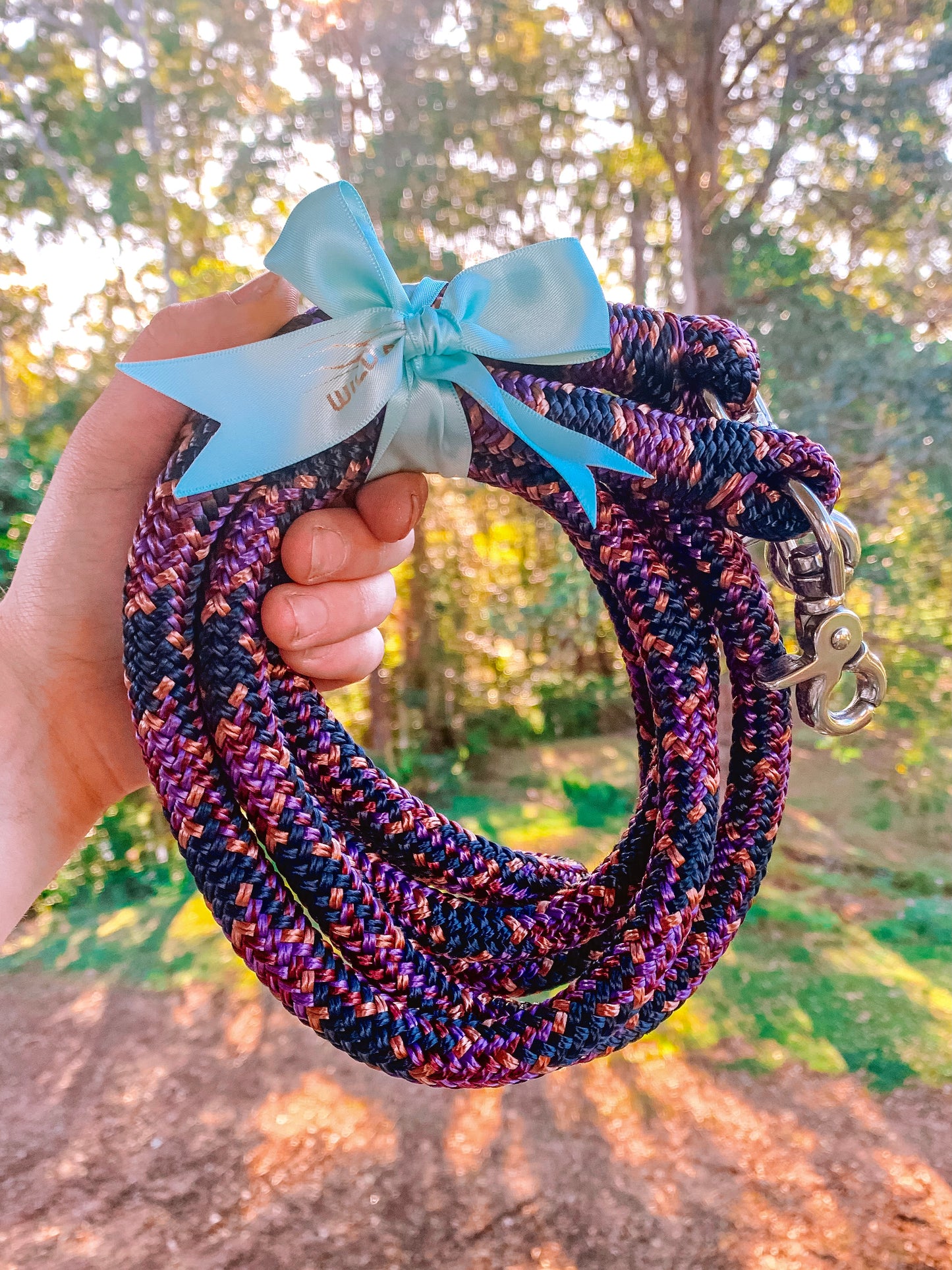 Clip-On Loop Reins