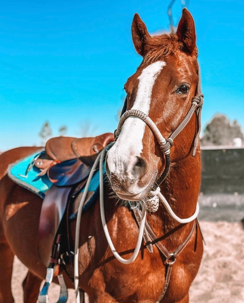 Rope Headstall - Design Your Own